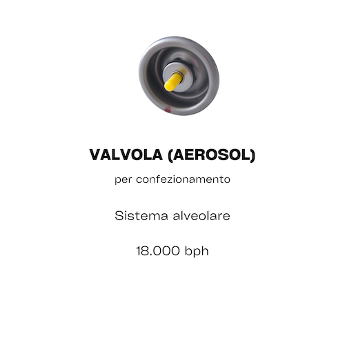 valvola aerosol alimentare erre enne